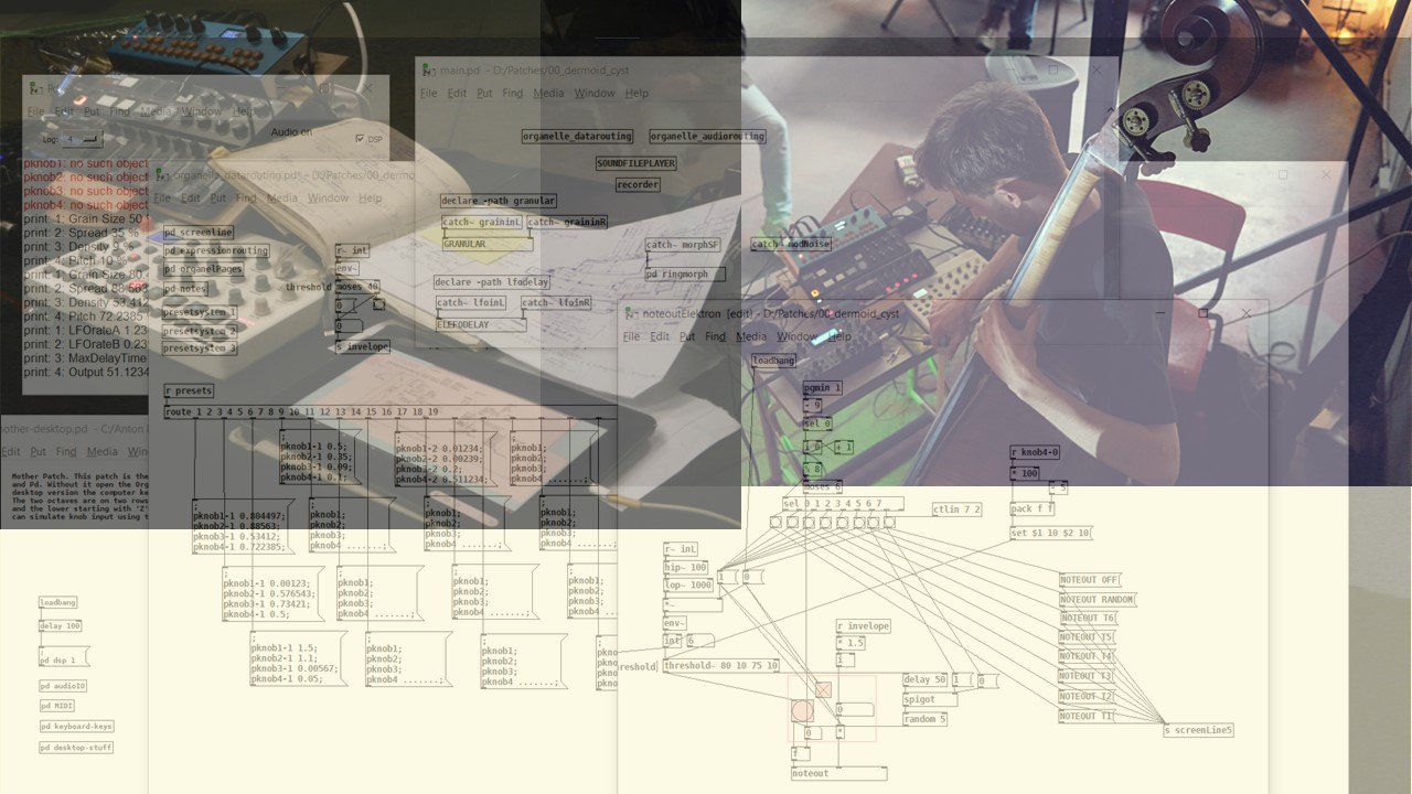 Image without description